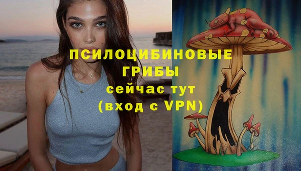ALPHA-PVP Алексин