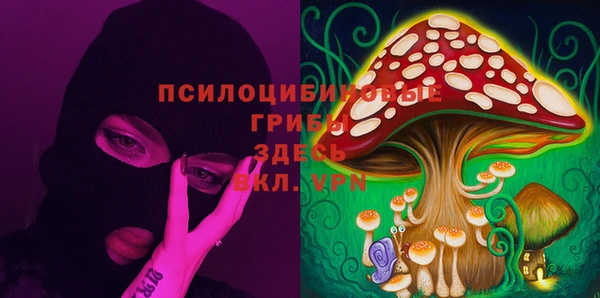 амф Алзамай